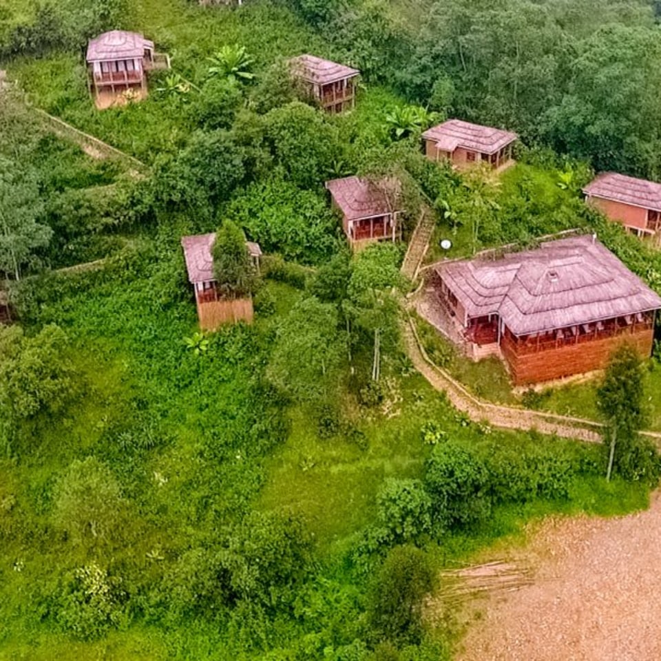 Four Gorillas Lodge